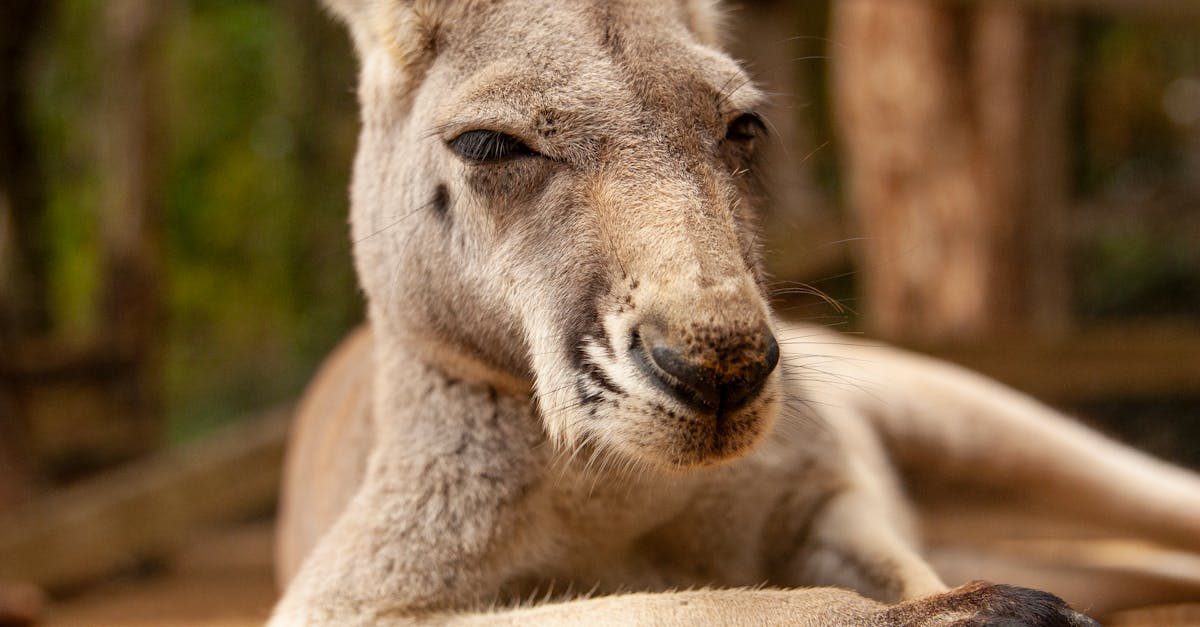 How much does Lowe's charge to install a garbage disposal?