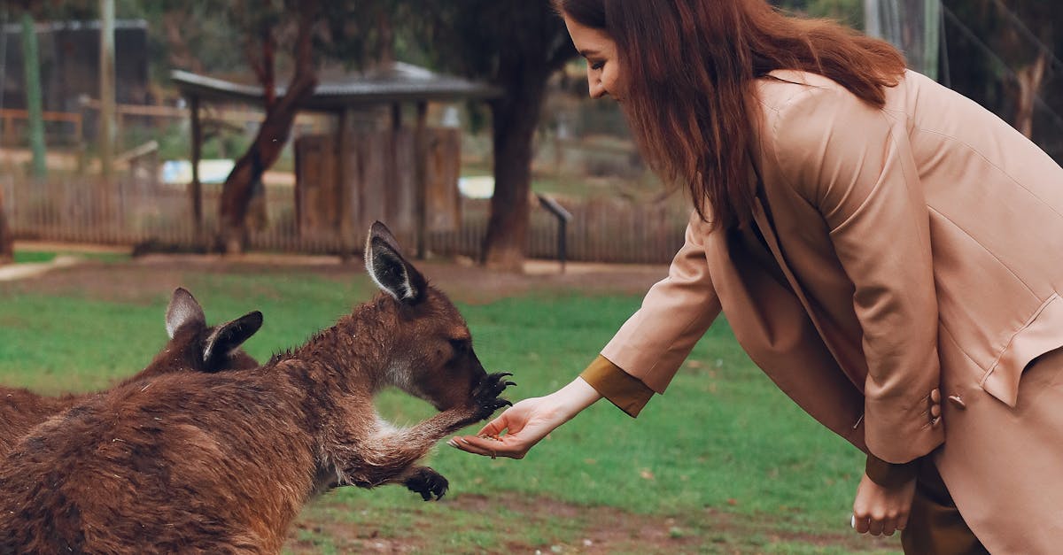 Is it worth it to repair a garbage disposal?